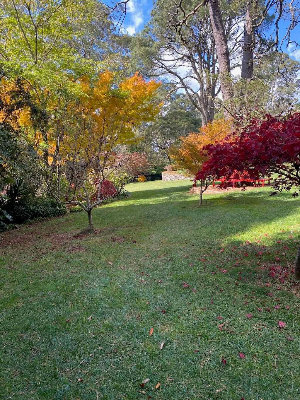 May 2023 Bathurst Mayfield Garden Tour Image -64605bc26779a
